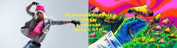 герыч Мегион
