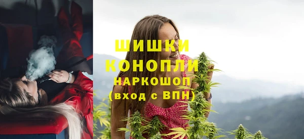 spice Медногорск