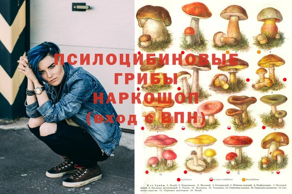 марки nbome Бородино