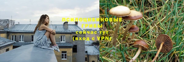 прущий лед Михайлов