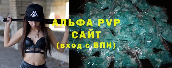 эйфоретик Майский