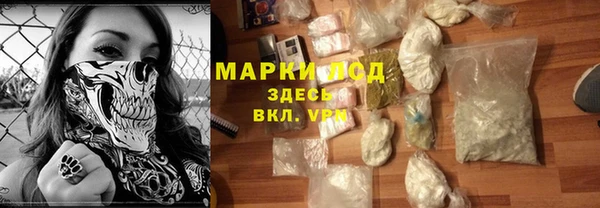 эйфоретик Майский